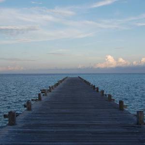 淑女隐忍憋尿by白夜飞行
